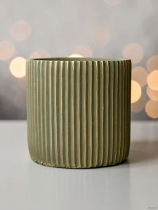 Obal Royal Green