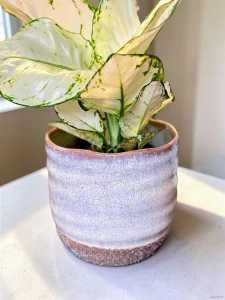 Obal Roan pot