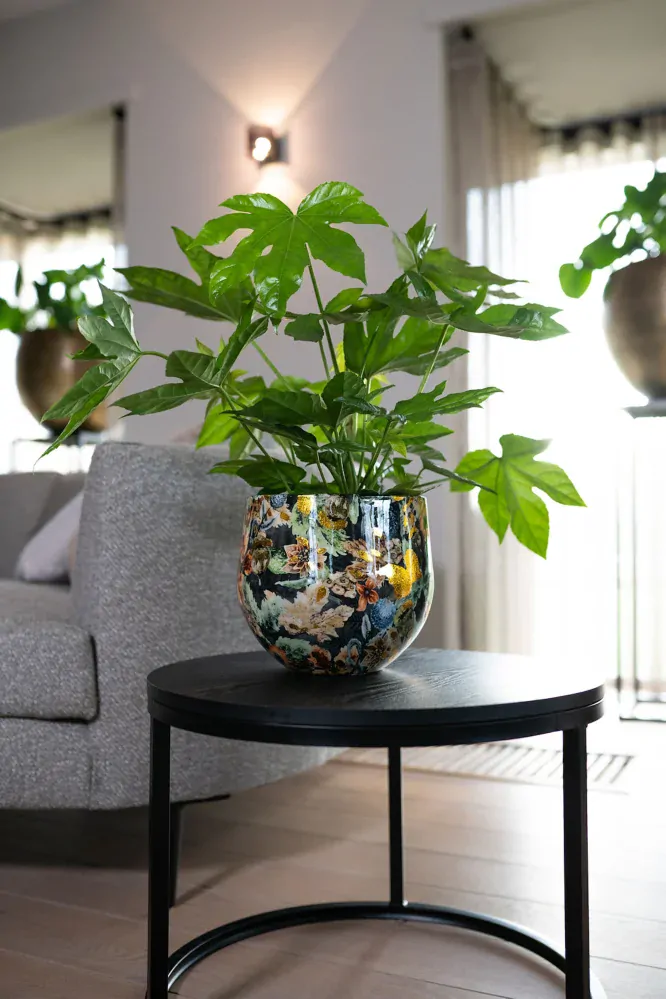 Obal Designed by Lammie - Berry Blue